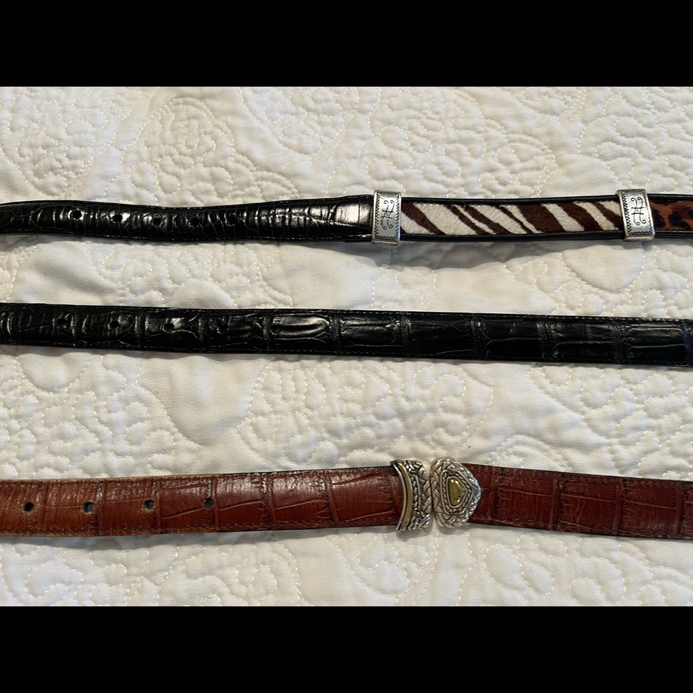3 Brighton Belts - Size S